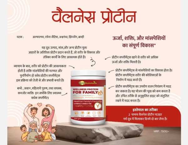Wellness Protein Protein Powder